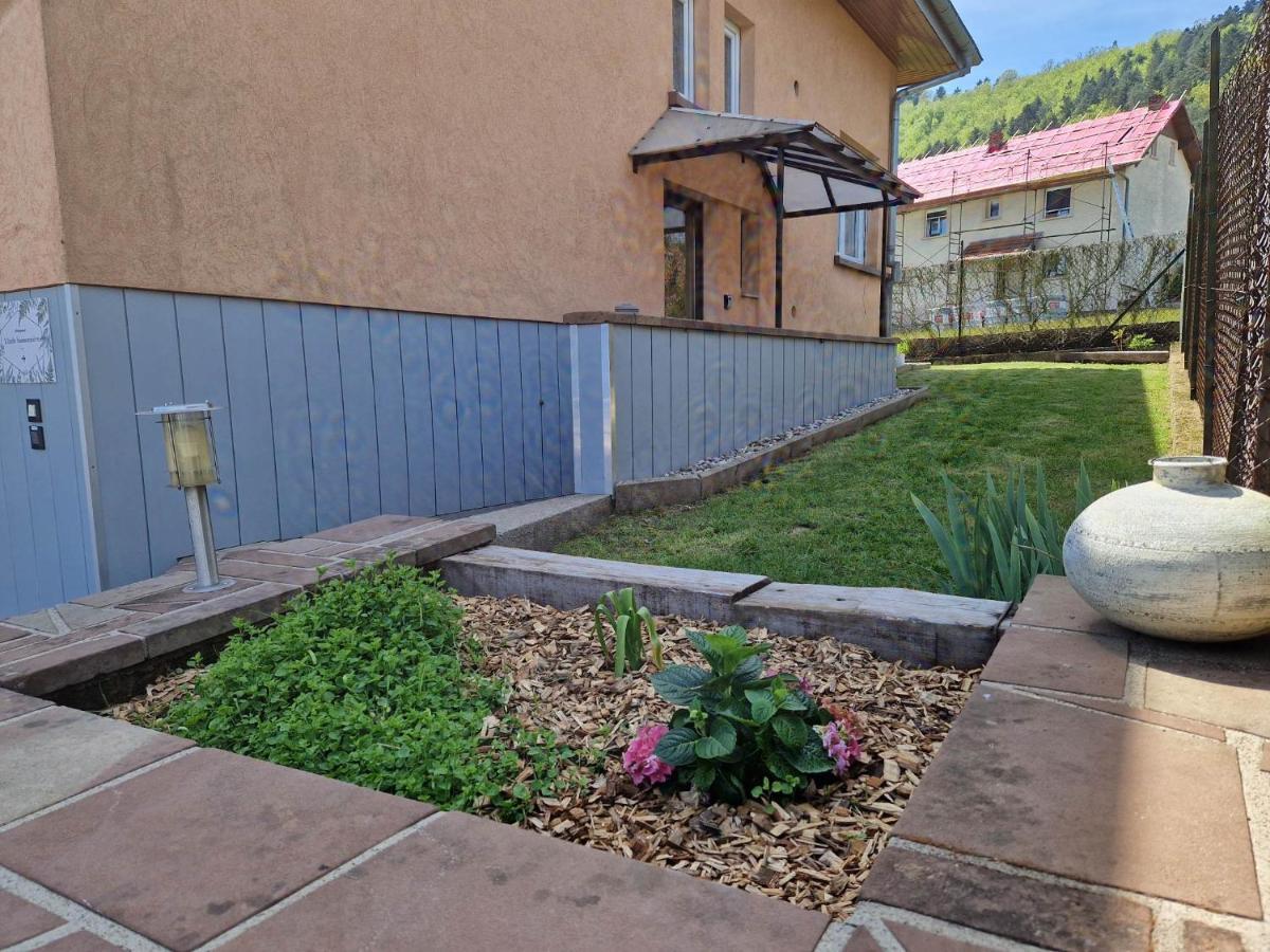 L'Ecole Buissonniere Appartement Dabo Buitenkant foto